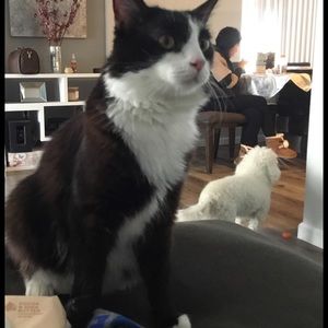 Meet your Posher, Wendy